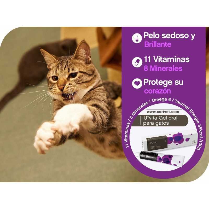 U-vita Gel suplementos vitamínico para Gato, 50 g