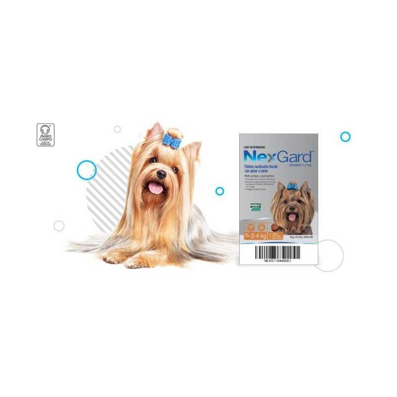 Nexgard antipulgas/garrapatas/ácaros, 1 Tableta masticable, de 2-4 kg