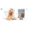Nexgard antipulgas/garrapatas/ácaros, 1 Tableta masticable, de 2-4 kg
