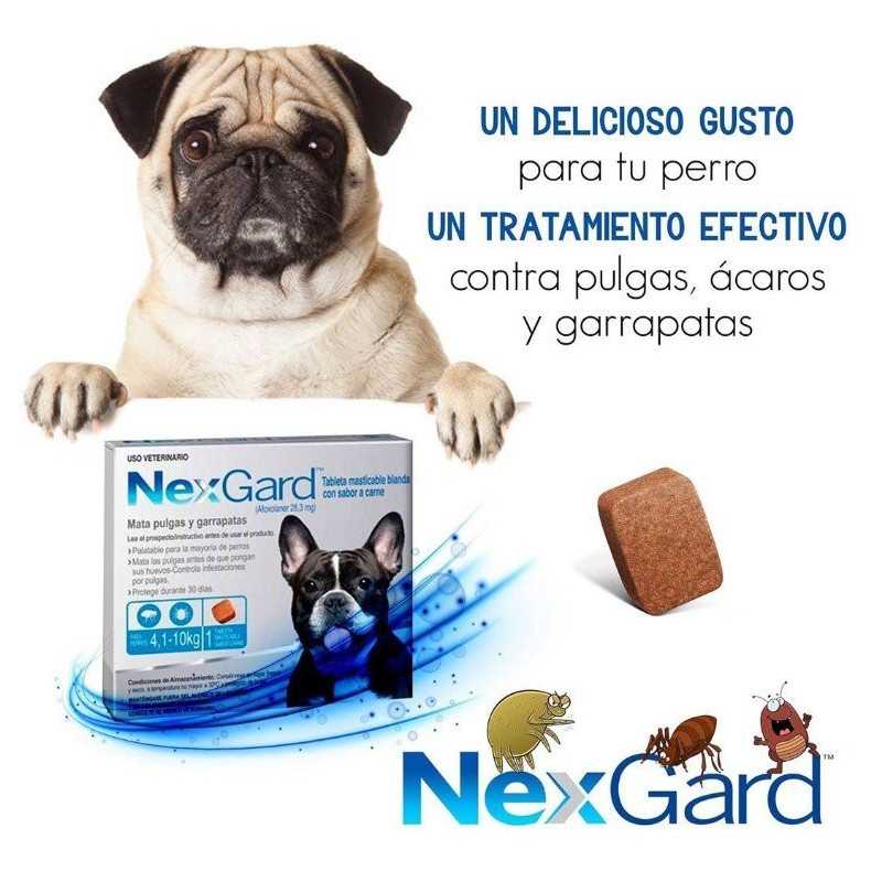 Nexgard antipulgas/garrapatas/ácaros, 1 Tableta masticable, de 4,1-10 kg