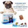 Nexgard antipulgas/garrapatas/ácaros, 1 Tableta masticable, de 4,1-10 kg