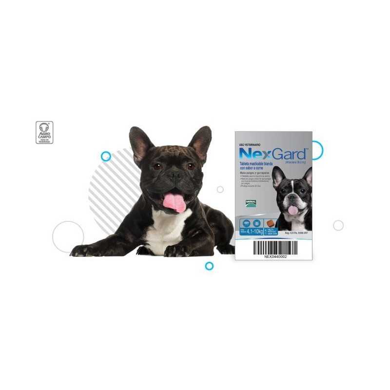 Nexgard antipulgas/garrapatas/ácaros, 1 Tableta masticable, de 4,1-10 kg