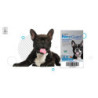 Nexgard antipulgas/garrapatas/ácaros, 1 Tableta masticable, de 4,1-10 kg