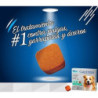 Nexgard antipulgas/garrapatas/ácaros, 1 Tableta masticable, de 10,1-25 kg