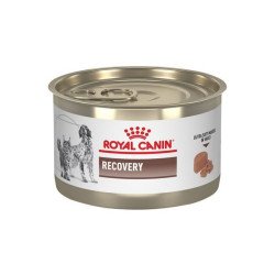 Royal Canin Recovery 125 g. Alimento para gatos al mejor precio