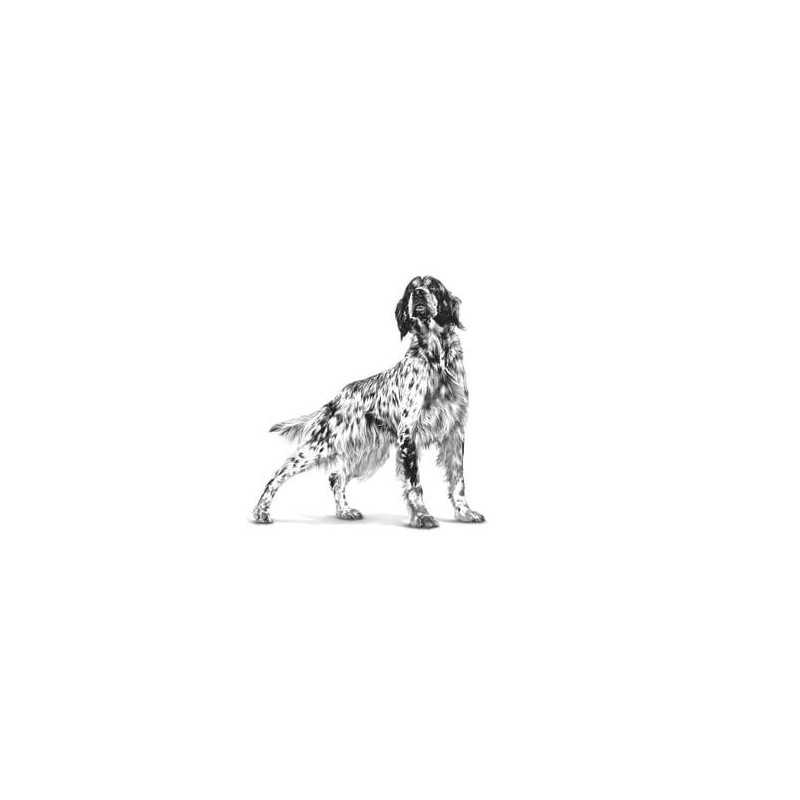Royal Canin Renal Húmedo Perro, 410 g