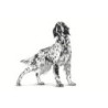 Royal Canin Renal Húmedo Perro, 410 g