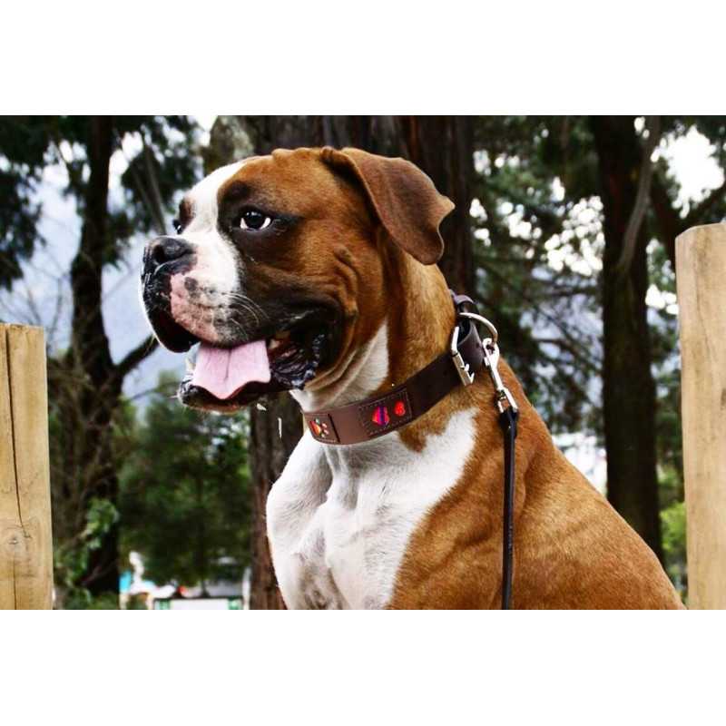 Toscano collar cuero marrón cuadritos colores talla. Collares para perros al mejor precio