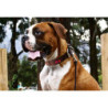 Toscano collar cuero marrón cuadritos colores talla. Collares para perros al mejor precio