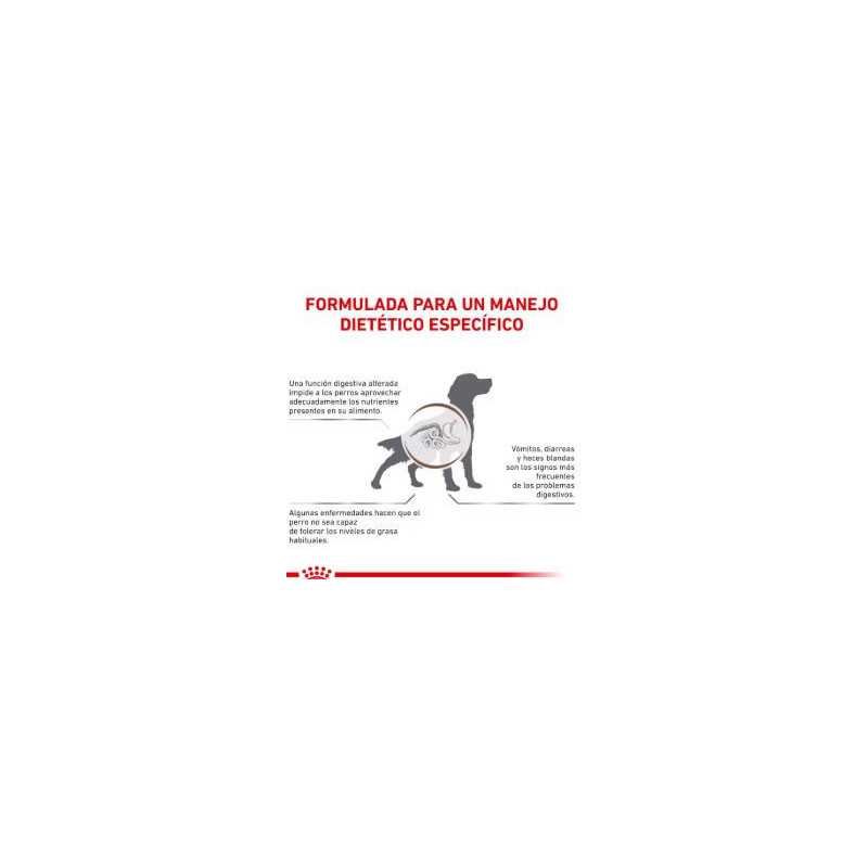 Royal Canin Gastrointestinal Low Fat (Bajo en grasa) Perro