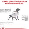 Royal Canin Gastrointestinal Low Fat (Bajo en grasa) Perro