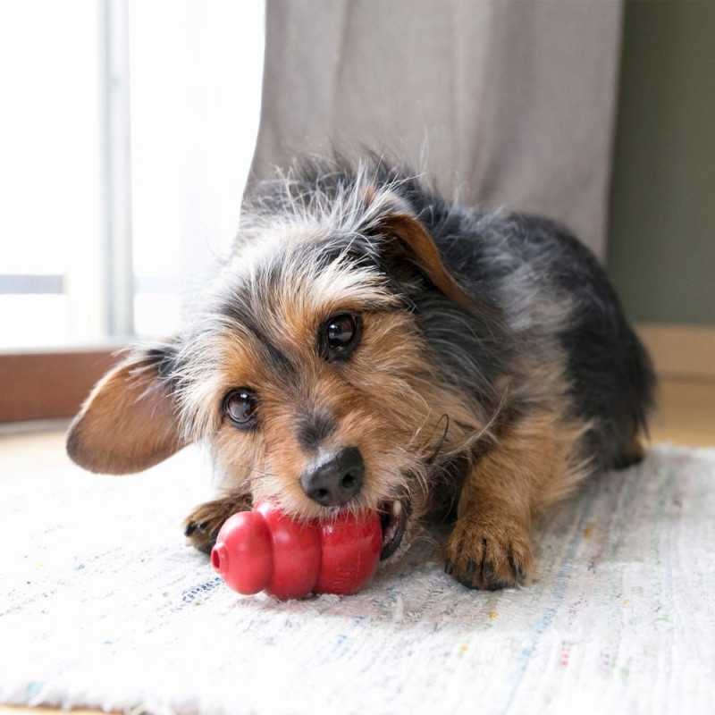 Kong Classic. Juguetes para perros al mejor precio