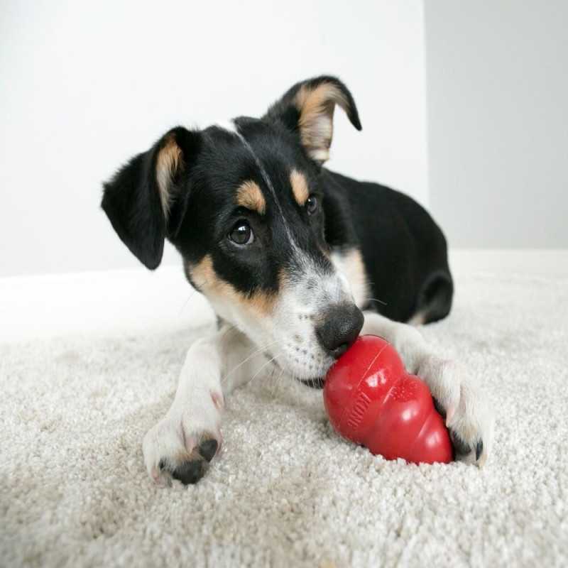 Kong Classic. Juguetes para perros al mejor precio