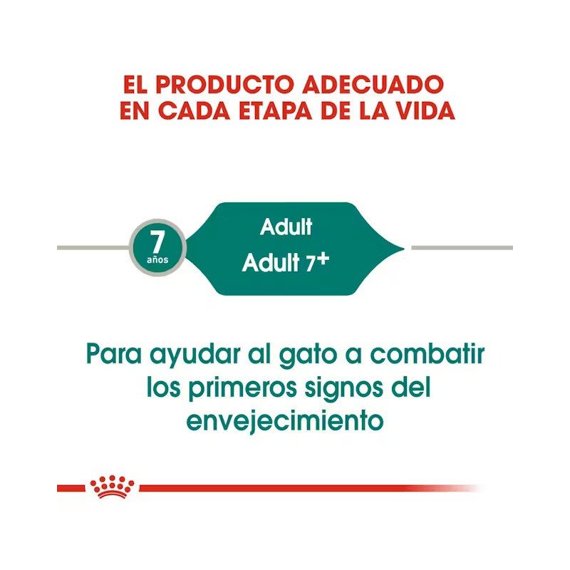 Royal Canin Instinctive 7+, Alimento Húmedo Senior, 85 gr