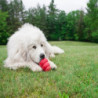 Kong Classic. Juguetes para perros al mejor precio