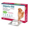 Simparica Trio antiparasitario interno y externo. 1 tableta masticable, de 20-40 kg