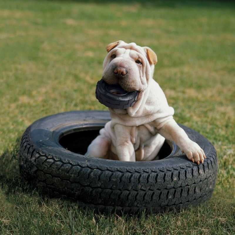 Kong Tires. Juguetes para perros al mejor precio