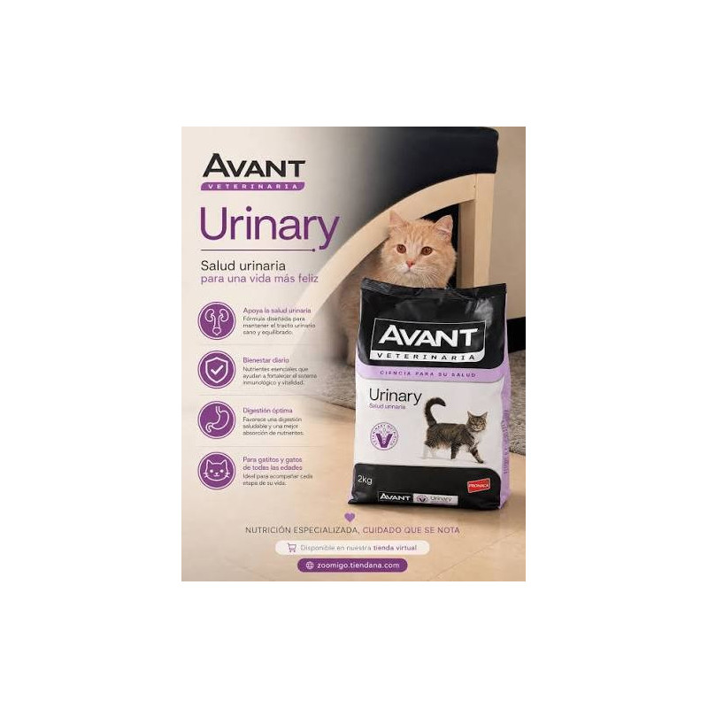 Avant Urinary Gato, 2 kg