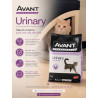 Avant Urinary Gato, 2 kg
