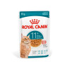 Royal Canin Ageing, Alimento Húmedo, Gato Senior 11+, 85 g
