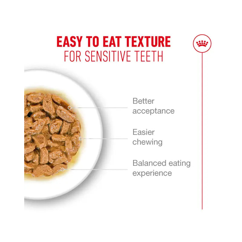 Royal Canin Ageing, Alimento Húmedo, Gato Senior 11+, 85 g