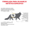 Royal Canin Urinary gatos (Urinario), 1,5 kg. Alimento para gatos al mejor precio