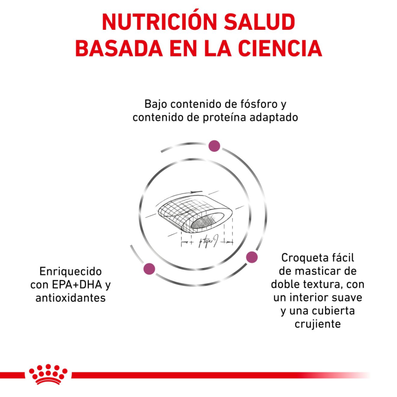 Royal Canin Renal gatos, 2 kg. Alimento para gatos al mejor precio