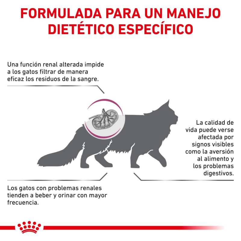 Royal Canin Renal gatos, 2 kg. Alimento para gatos al mejor precio
