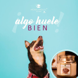 Monicandles vela neutralizador de olores 70 g
