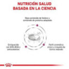 Royal Canin Renal. Comida para perros al mejor precio