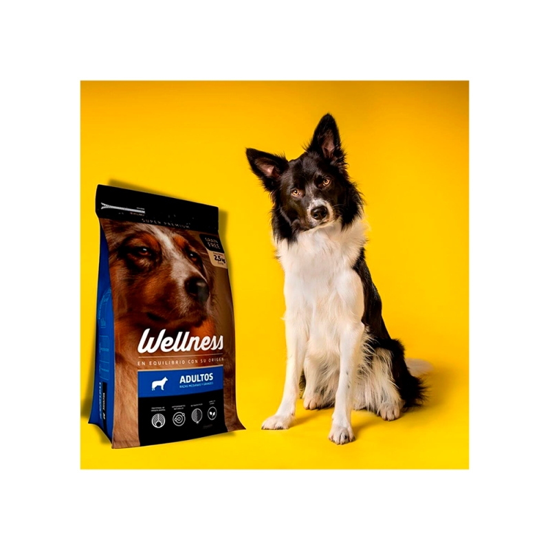 Wellness Adultos razas medianas y grandes 15 kg. Comida para perros al mejor precio