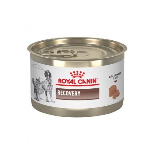 Royal Canin Recovery 125 g