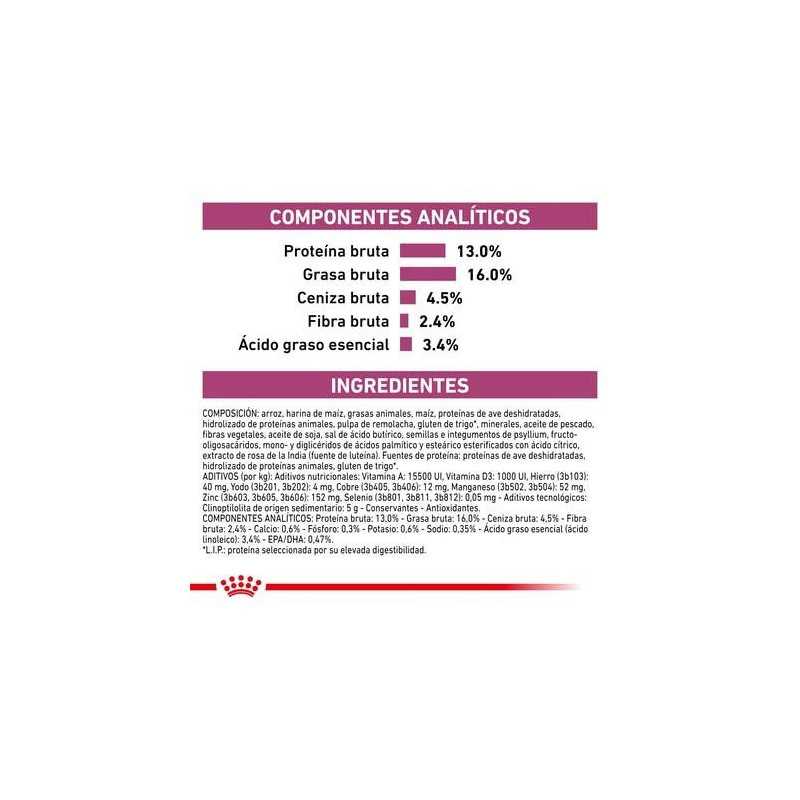 Royal Canin Renal. Comida para perros al mejor precio