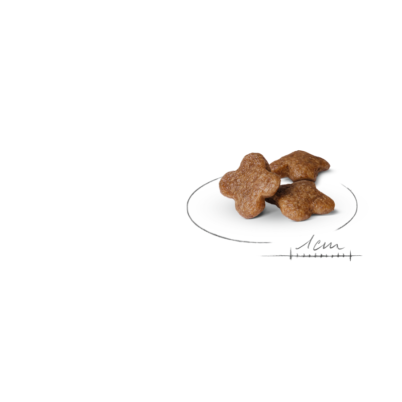 Royal Canin Mini Adulto 8+, 2 kg. Comida para perros al mejor precio