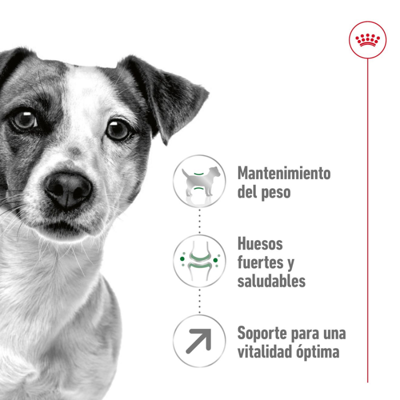 Royal Canin Mini Adulto 8+, 2 kg. Comida para perros al mejor precio