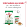 Royal Canin Mini Adulto 8+, 2 kg. Comida para perros al mejor precio