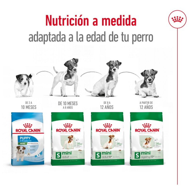 Royal Canin Mini Adulto 8+, 2 kg. Comida para perros al mejor precio