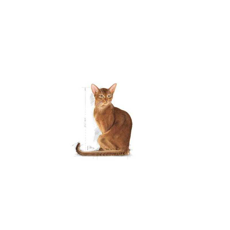 Royal Canin Savour Exigent (Paladar Exigente), 2 kg