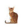 Royal Canin Savour Exigent (Paladar Exigente), 2 kg