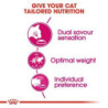 Royal Canin Savour Exigent (Paladar Exigente), 2 kg