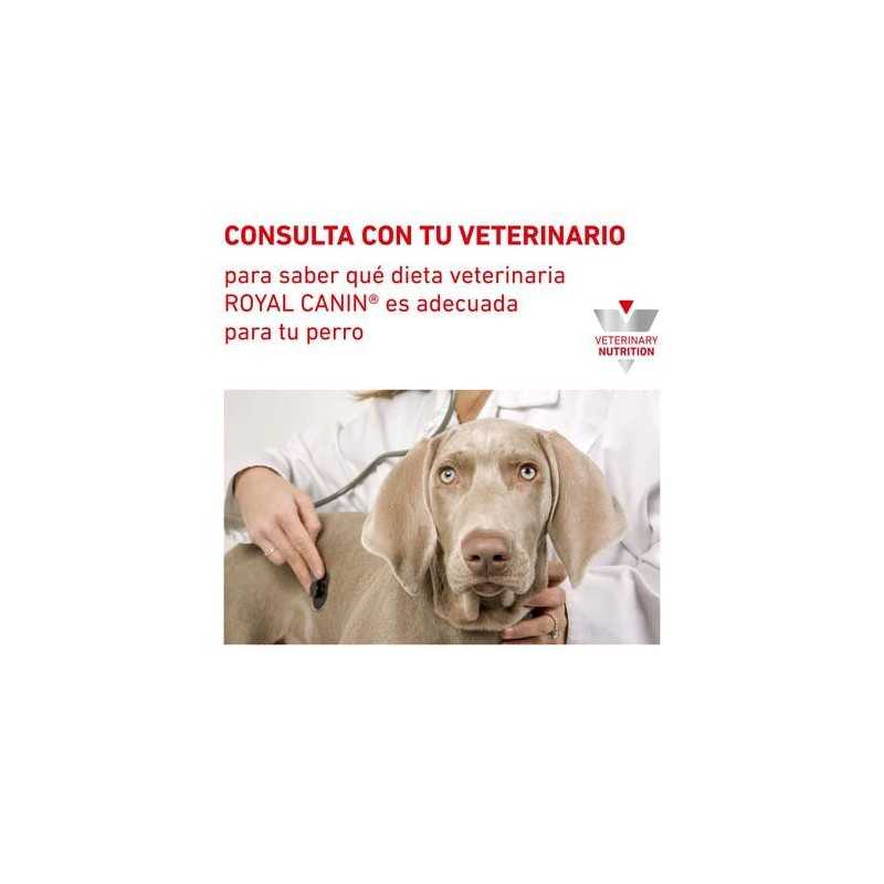 Royal Canin Urinary (Urinario), 2 kg. Comida para perros al mejor precio