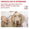 Royal Canin Urinary (Urinario), 2 kg. Comida para perros al mejor precio