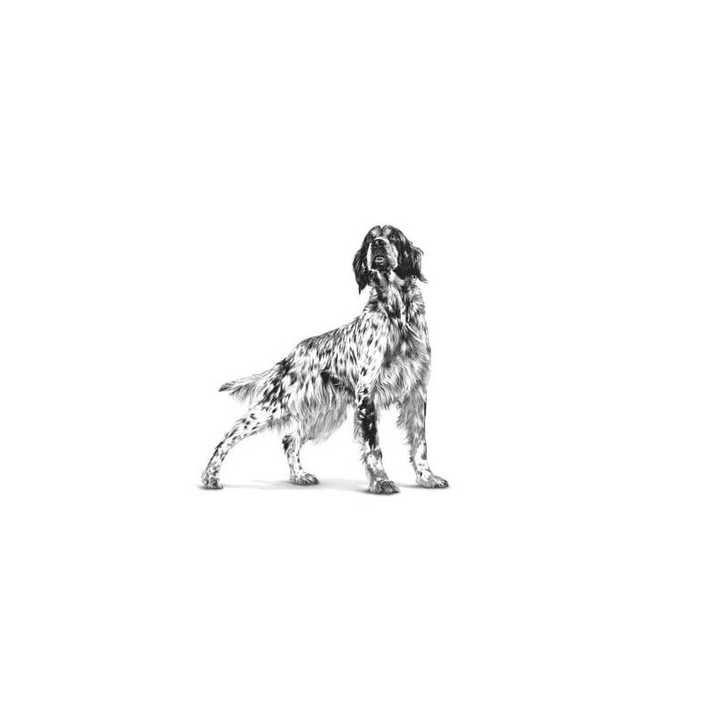 Royal Canin Hypoallergenic (Hipoalergénico) Perro