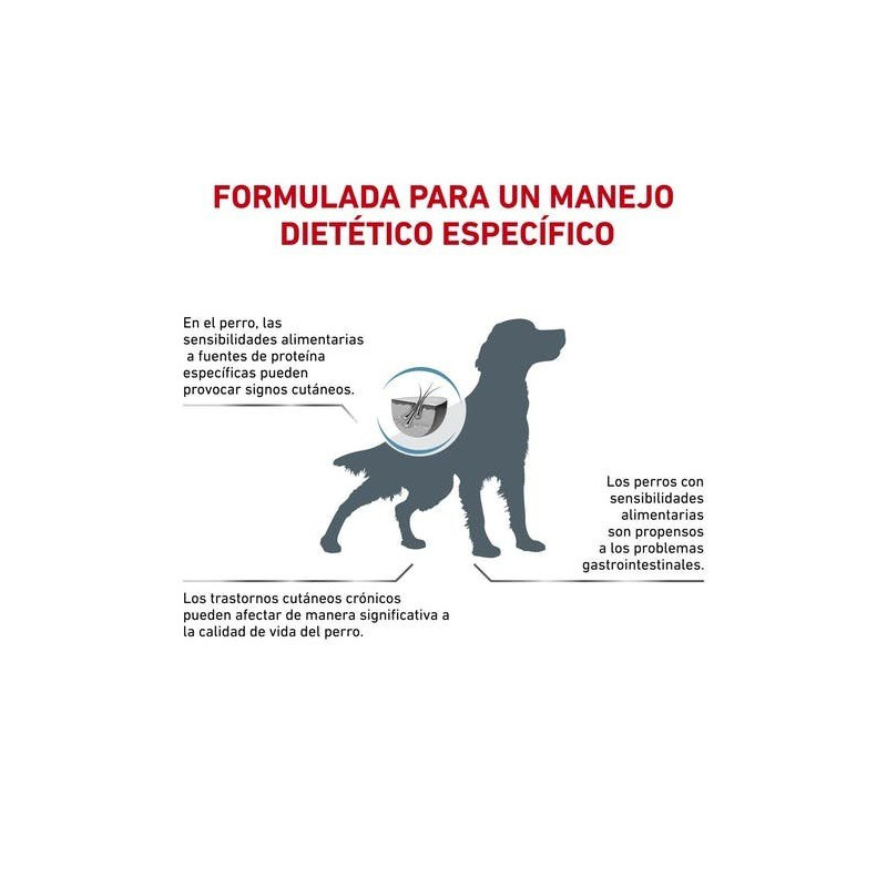 Royal Canin Hypoallergenic (Hipoalergénico) Perro