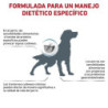 Royal Canin Hypoallergenic (Hipoalergénico) Perro