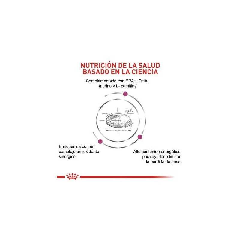 Royal Canin Cardiac (Cardiaco) Perro, 2 kg