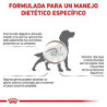 Royal Canin Gastrointestinal, 2 kg. Comida para perros al mejor precio