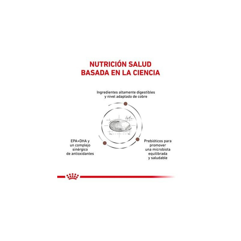 Royal Canin Hepatic Gato, 2 kg