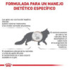 Royal Canin Hepatic Gato, 2 kg