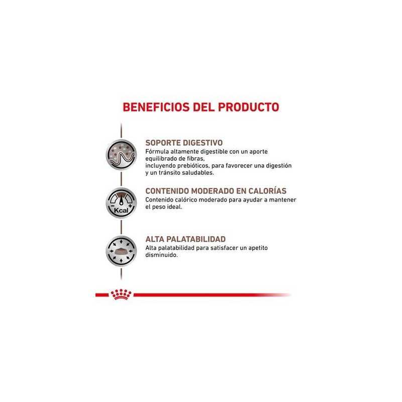 Royal Canin Gastrointestinal, 2 kg. Comida para perros al mejor precio